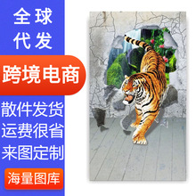 ���uͨ���R�d�b�����3D���w���ϻ��ͮ������o�򮋿羳؛Դ199