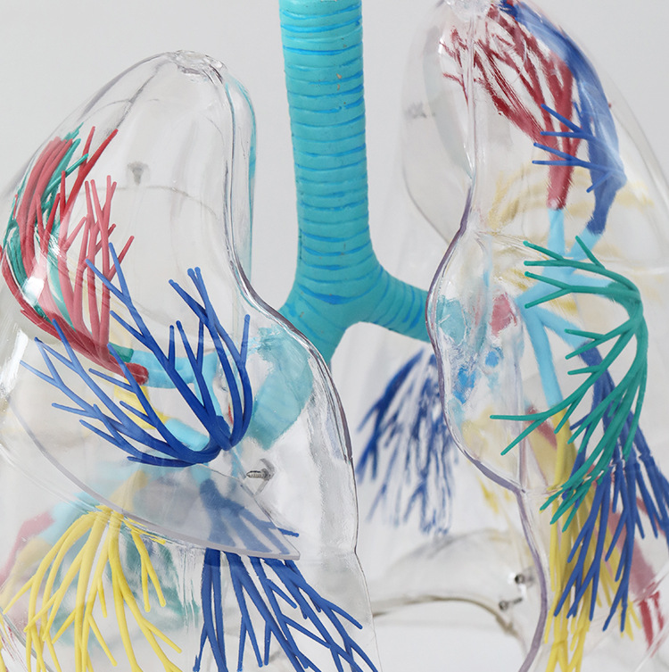 O1CN01Bk0UH52Kk6Xv406Vy_!!3578