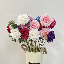 �¿Ʒ3�^���yõ��͏d�b�cӰ�ǾƵ겼�÷��滨���S؛Դ