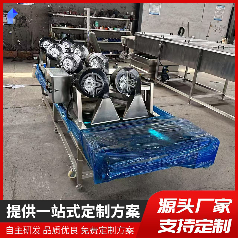 máquina de limpieza de burbujas de vegetales de montaña equipo de limpieza de flor azul azul azul de col rizada limpieza línea de ensamblaje de aire seco
