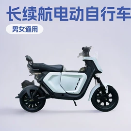 其他非机动车;电动滑板车;其他电动车
