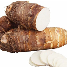 山东农家长香芋新鲜芋头整件包邮新鲜当季芋头炮弹芋头一件代发