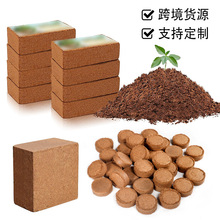 ���sҬ������K�M��˹���m�����|�I�B���KҬ�����uҬ�K��ߴ�����