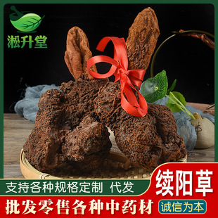 �mꖲ���ș��Ұ���mꖲ��ݲ��ݾƴ�����ɐ������������Iꖲ�