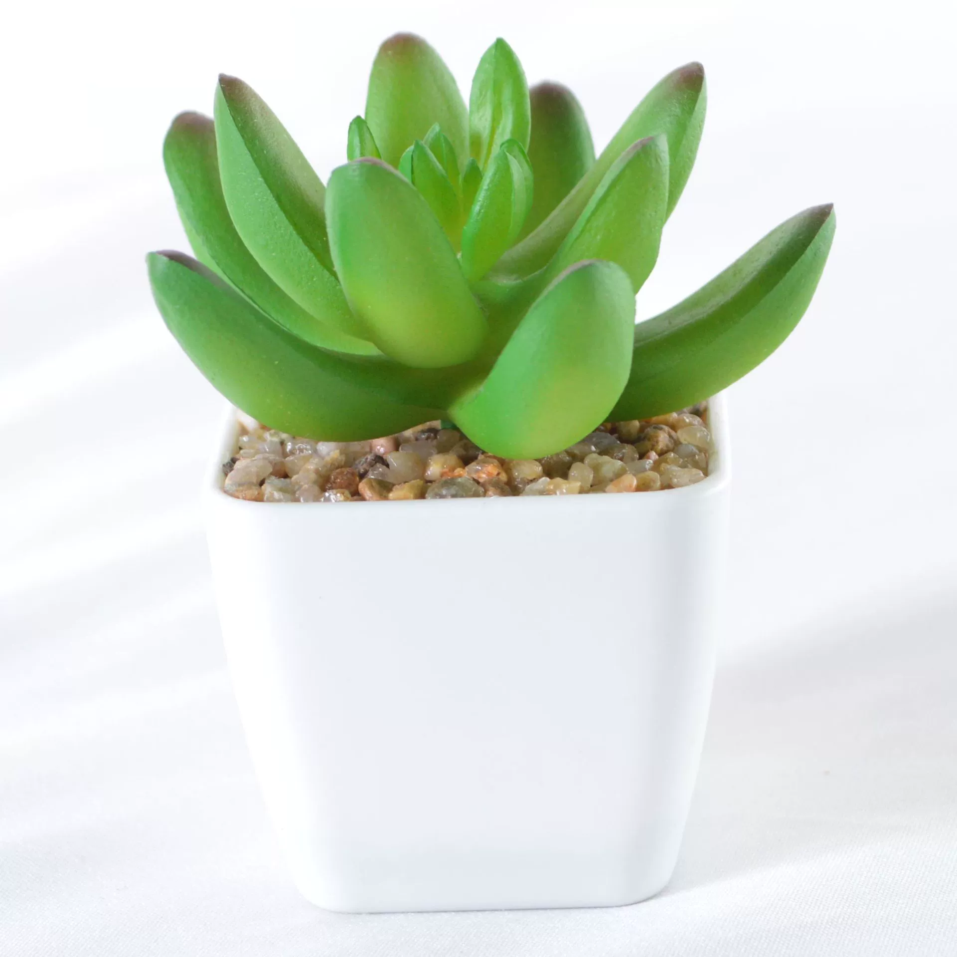 Simulation plastic small white pot simulation of succulent plants potted bonsai square pot