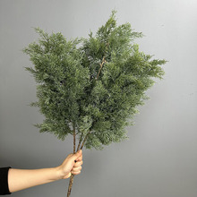 �羳�����}�Q�Zؐ�� ɼ�� �������ɼ�٘�֦��ɼӭ���ɘ��쾰�ɰ�