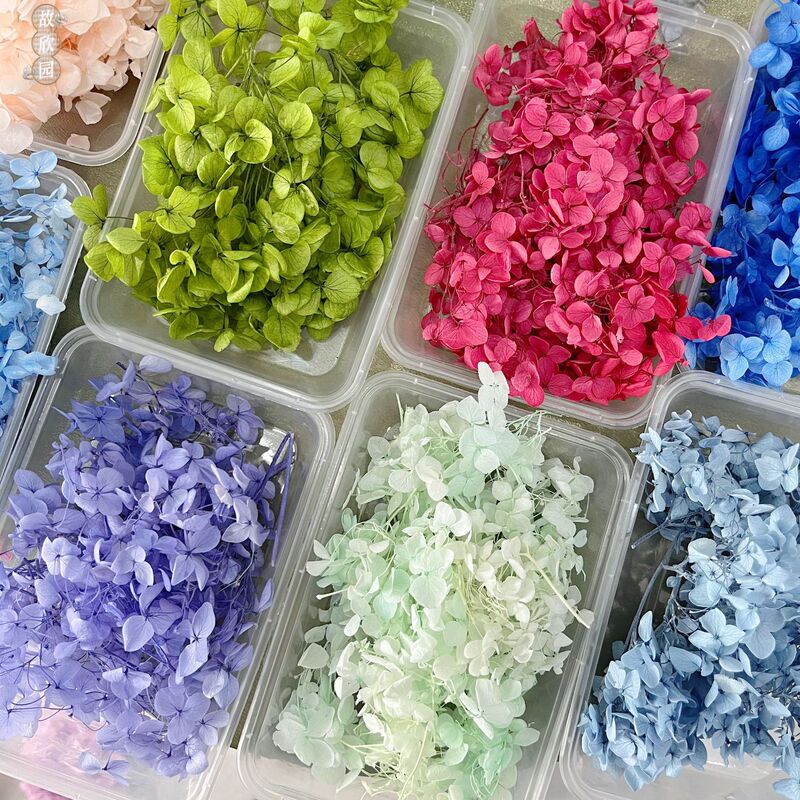 Hydrangea Eternal Flower Anna Bulk Hydrangea Petal Dried Flower Eternal Flower Wedding Decoration Gift Handmade Material