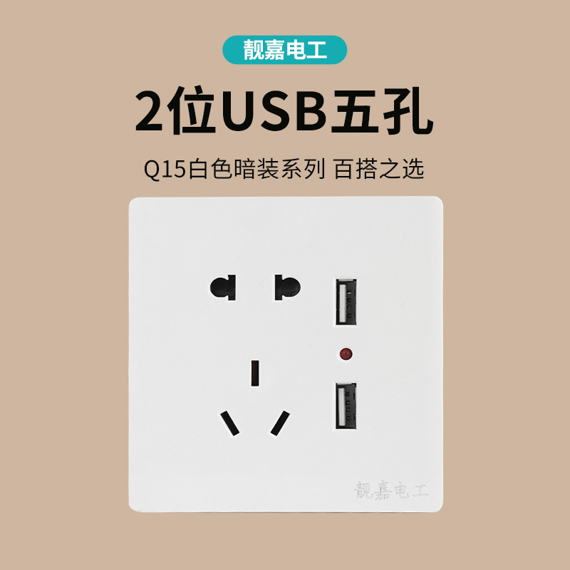 Q15 five-hole dual USB