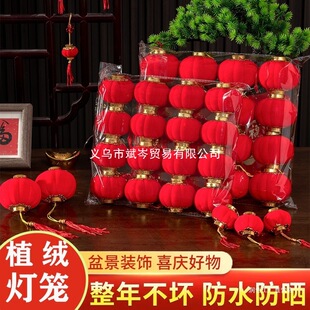 �����t���\���\С�b�Ʒ�辰�䴺����2026��ֲ�q�����R�����