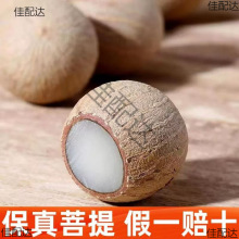 �����ָŮ�ֹ�diy������ԭ��ɢ�����������ִ�����������