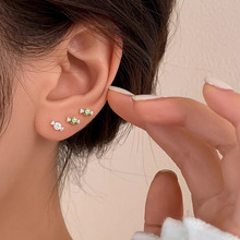 �����ɐۂ��Ծ����ǹ����ŮС���OӋ�К��|�������s�ٴ���h���