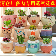 ���ֶ��⻨���k��������[�ń��₀��͸��������Ծ��¿ɐ�С����