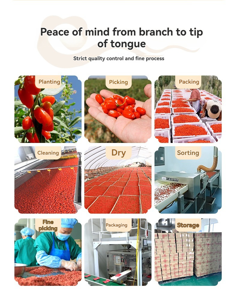 Ningxia Red Goji Berry Dried Wolfberry Gou Qi Zi Premium Grade 258g Jar specifications