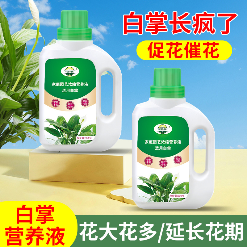 Specialized Nutrient Solution Fertilizer for White Palm Plants, Liquid Fertilizer for Home Potted Plants, General-Purpose Fertilizer for Indoor Flowers and Green Plants