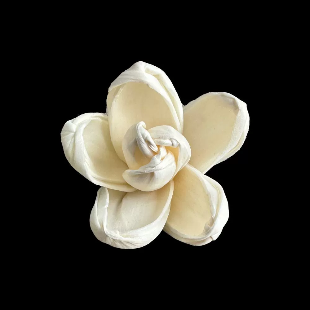 Оптовая продажа |   4 см маленькие цветы жасмина и пандореи для декора дома, сушеные цветы ручной работы из сола, можно пробивать и вставлять в стойку