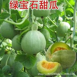 �G��ʯ��ϷN����ϷN�Ӵ����ļ���������S�a��ϷN��