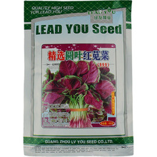 l߲˷N400ˈA~t{˷NӼtɫA~{˷N