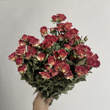 玫瑰花多头干花真花烤干ins装饰摆件diy插花礼品礼物批发