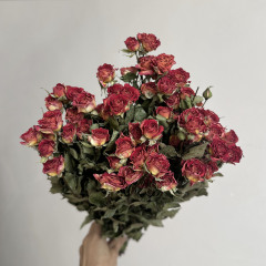 バラの花の多頭の乾いた花の本物の花の焼き干しinsの装飾の置物のdiy生け花の贈り物の贈り物の卸売り