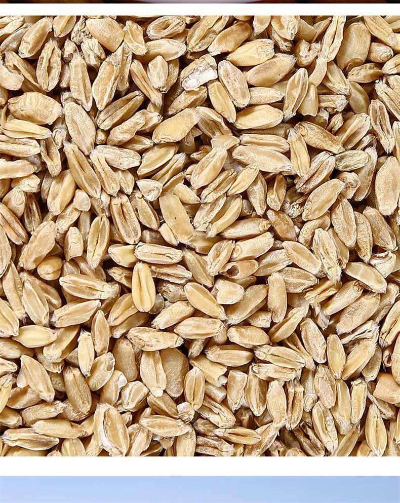 Fu Xiao Mai Floating Wheat 500g Dried Triticum aestivum Herbal Tea Grain specifications