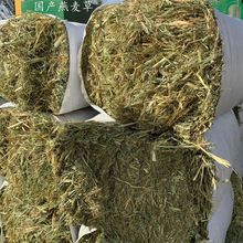 2025年国产燕麦草干草料 燕麦草料颜色绿营养高好
