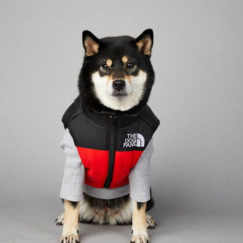 US Brand Dog Face Windproof Rainproof Large Dogs Winter Warm Raincoat Dog Pet Cotton Coat Down Jacket 