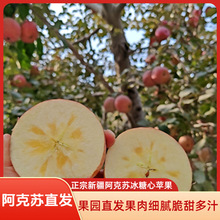 �½������K�������O���a��ֱ�l�����֭�ЋDˮ������8��12ö�Y��