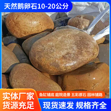 SֱȻZʯ10-20ʯ^䁵ʯͥԺb@ˇʯ^