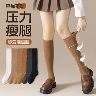 Autumn and Winter Socks Women's Japanese Style Casual Simple College Style JK Stockings Girl's Slight Pressure Slimming Sweet Crest Socks