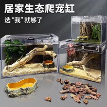 �������B��B��ľ�з����͸��������һ�w��M�b����ϐ������B��