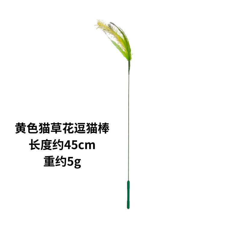 노란 고양이 잔디 꽃 고양이 웃긴 스틱