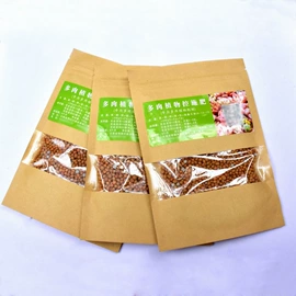 仙人掌及多肉;营养液