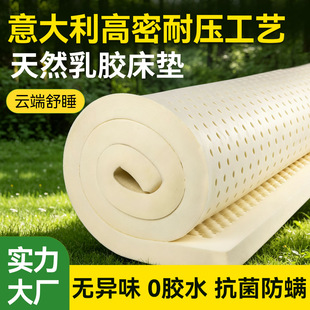 �������ˇ���z�|���Sֱ�l���l10cm5���������ȫ����Ȼ���z���|