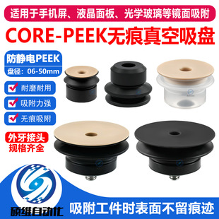 �Cе��PEEK�o��������P CORE-06/08/10/15/20/25/30���I�������