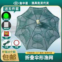 �����~�W��Ҏ���W�~�\�r�\��W�ۯB�O�W���r�W��\�O�߼Ӻ�