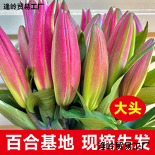 ��ˮ���^�ٺ��r���������������ֱ�l���^õ�����l��؛���F؛����