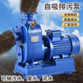 定制ZW自吸泵大吸力抽水机防汛泵排涝移动泵车防洪排水泵工业离心