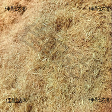 �ɵ����w�Sˮ���ն��Ž��B�۠��b��鵾�ݾG�������ൾ������]�r