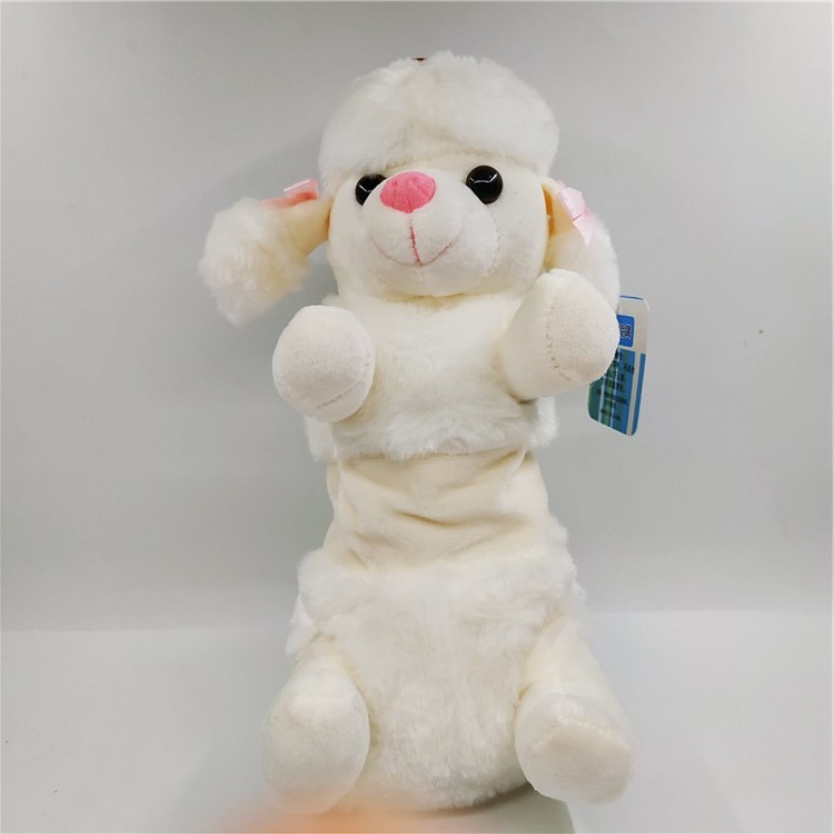 Perro caniche blanco