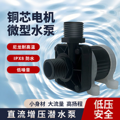 Dcブラシレス潜水ポンプdc 12v 24v水陸両用高揚程水槽ポンプ風呂増圧ポンプで花をやります。