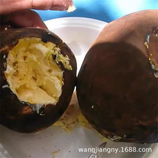 ⩪sľ�� ��������������  �����������_�ۘ��R�����������