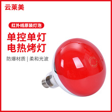 现货批发红外线电热烤灯家用灯泡柔和光波耐高温防爆美容仪器灯泡