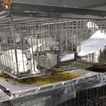 ������û\��������\���������\������u�\�����