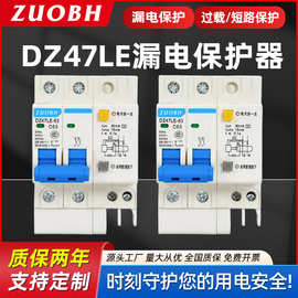 家用漏电断路器DZ47LE-63/2P小型漏电保护器10A16A32A63A漏保开关