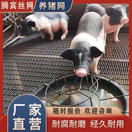 猪床网养猪网猪用漏粪网板保育育肥床产床网板钢丝铁丝网养殖漏粪
