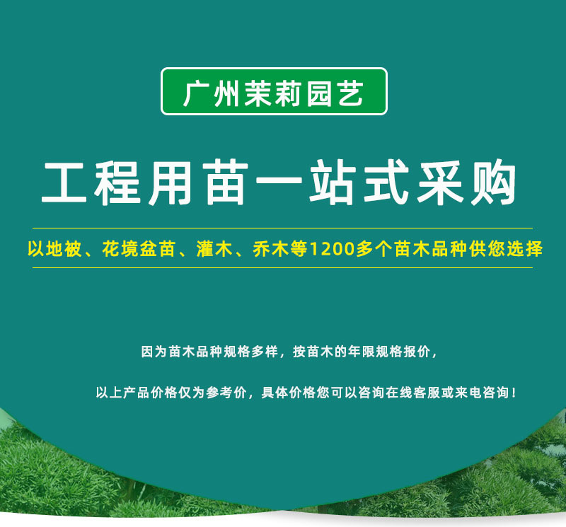 产品详细页面开头图