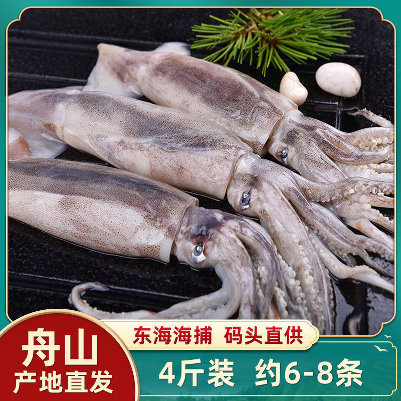 新鲜大鱿鱼仔整只鲜活冷冻舟山生鲜冰冻鱿鱼须烧烤铁板尤鱼海鲜