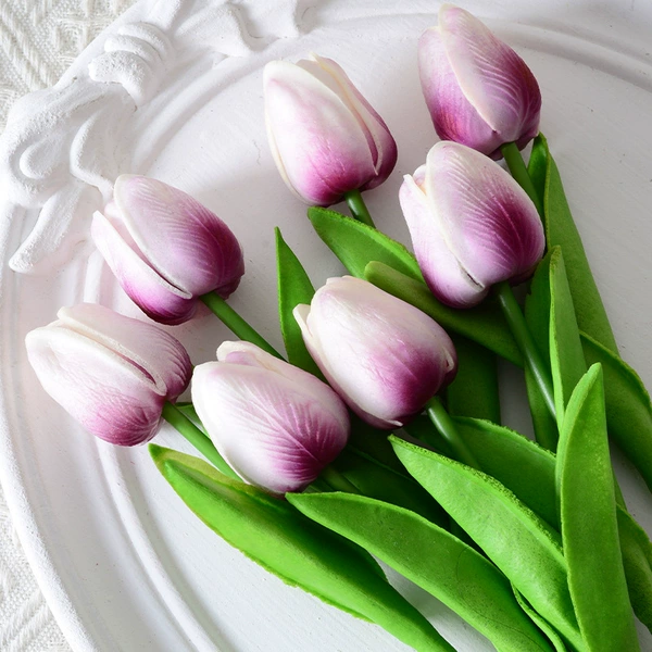 Purple on white