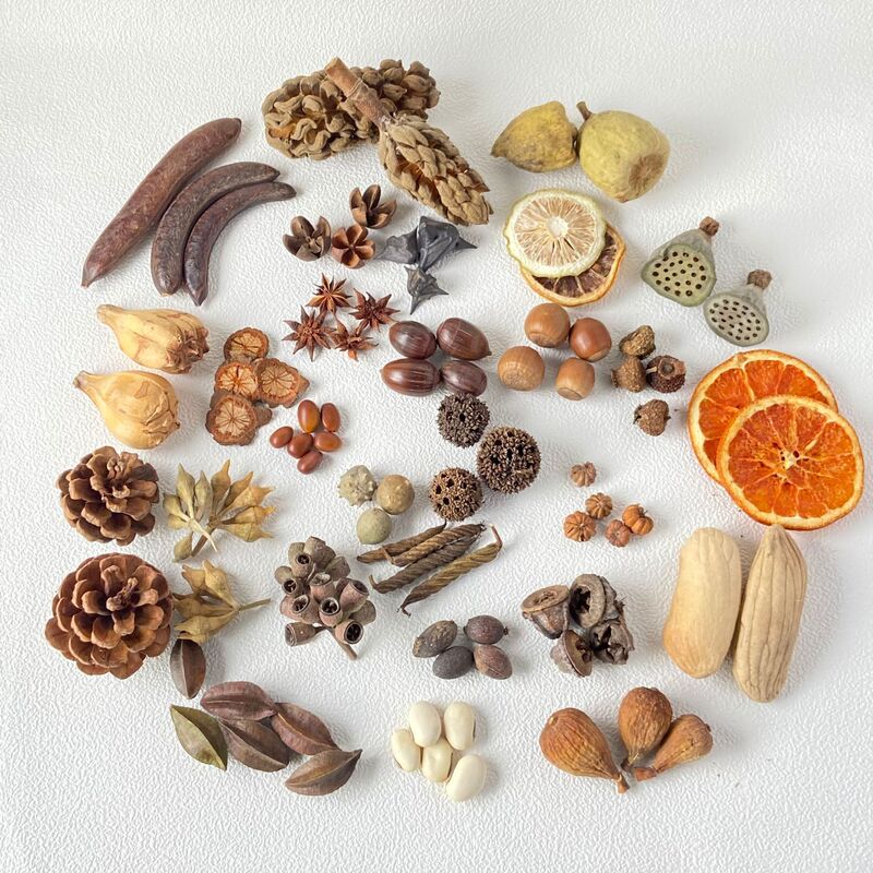 Dozens of Types of Dried Plant Fruits, Christmas Decorations, Dried Fruit Crafts, DIY Materials, Bean Pod Doll Materials