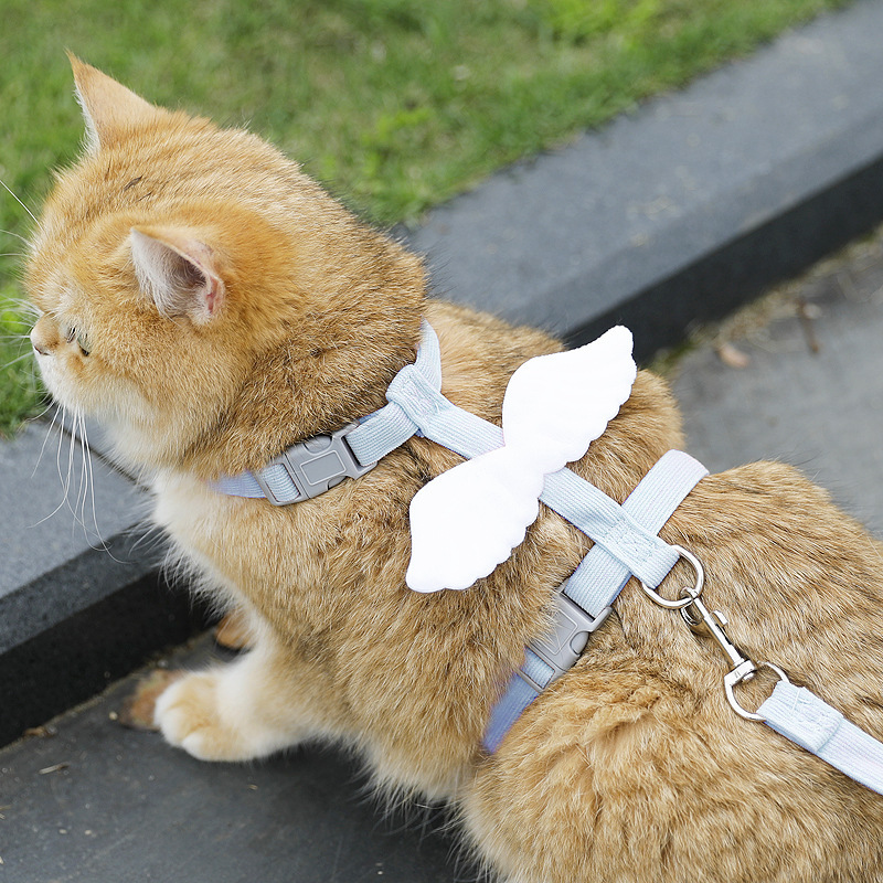 跨境花朵猫咪牵引绳工字型宠物牵引绳套装小型犬狗狗牵引绳遛猫绳|undefined